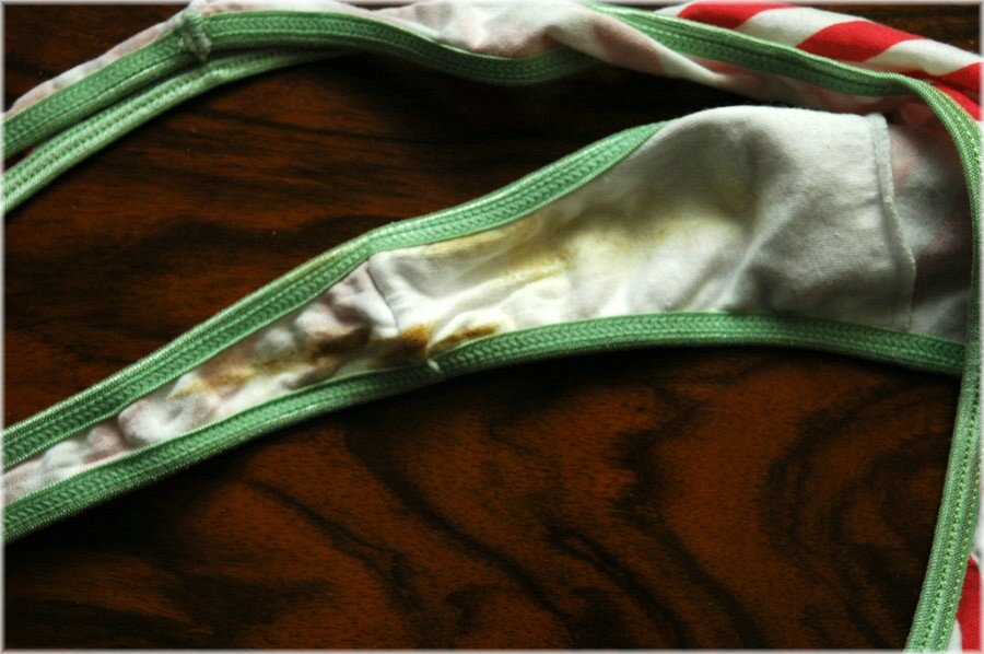 Rabbit Panty 019.jpg